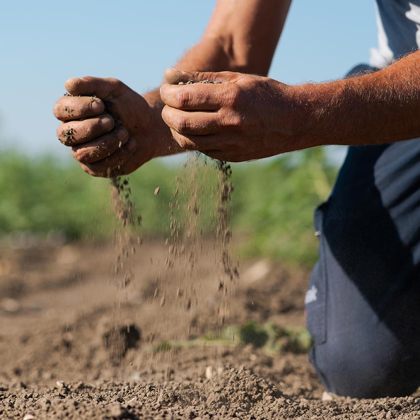 agricoltura biodinamica principi