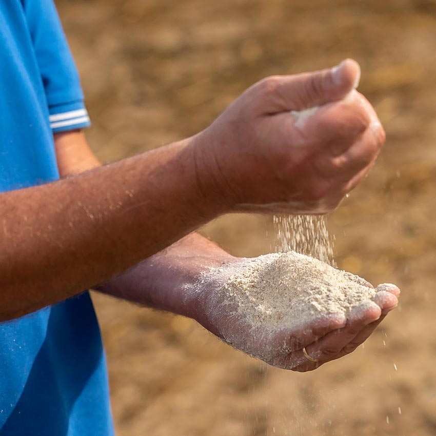 prodotti per agricoltura biodinamica