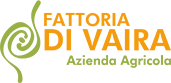 Fattoria Di Vaira Azienda Agricola