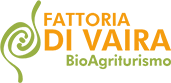 Fattoria Di Vaira Bio Agriturismo