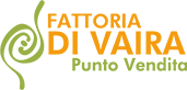 Punto Vendita